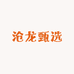 沧龙甄选
