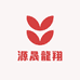 源晟龍翔
