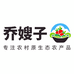 乔嫂子农产品店零售店