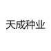 天成种业