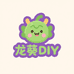 龙葵DIY