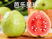 芭乐星球