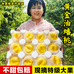 孙掌柜农产品店