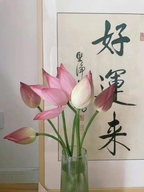 续述箱包旗舰店