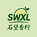 石望香柠产业研发社