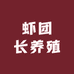 虾团长养殖