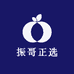 振哥正选