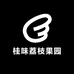 桂味荔枝果园
