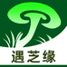 遇芝缘灵芝专营店