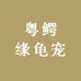 粤鳄缘龟宠