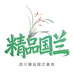 四川精品国兰基地