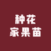 种花家果苗