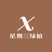 星期三绿植