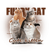 猫小橘的小窝