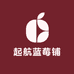 起航鲜果优品