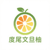 正宗度尾文旦柚果园现发