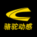 骆驼动感敢潮专卖店