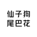 仙子狗尾巴花