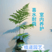 植道园艺