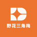 野花三角梅