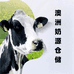 澳洲进口奶粉仓储