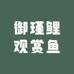 御瑾鲤观赏鱼