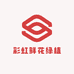 彩虹鲜花绿植(丰县店)