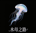水母之路