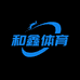 和鑫体育店