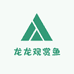 龙龙观赏鱼