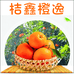 桔鑫橙逸