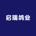 启瑞鸽业