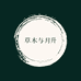 草木与月升