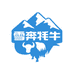雪奔牦牛甄选