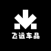 飞远车品汽车氛围灯