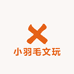 小羽毛文玩