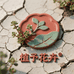 植予花卉