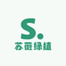 苏薇绿植