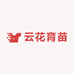 云花育苗