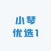 小琴优选1