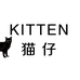 猫仔Kitten