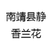 南靖县静香兰花