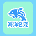 天津海洋名宠