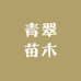 青翠果树苗木