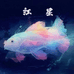 红星蝴蝶鲤