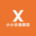 小小云南果苗