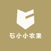 石小小农果