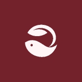 肖佰