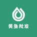 黄鱼批发