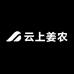 云上姜农